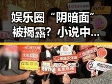 娱乐圈“阴暗面”被揭露？小说中的秘密惊爆网友！
