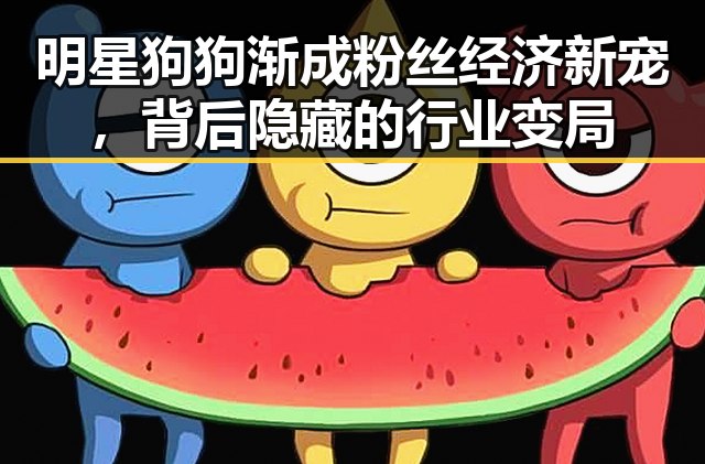 明星狗狗渐成粉丝经济新宠，背后隐藏的行业变局