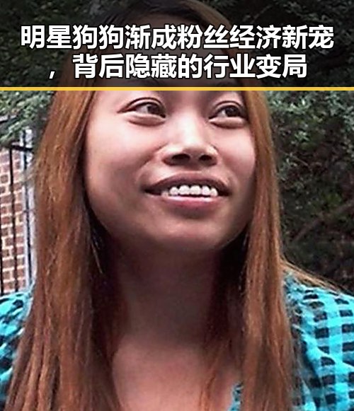 明星狗狗渐成粉丝经济新宠,背后隐藏的行业变局