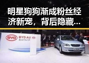 明星狗狗渐成粉丝经济新宠,背后隐藏的行业变局