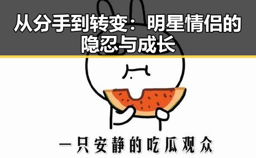 从分手到转变：明星情侣的隐忍与成长