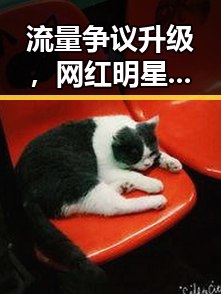 流量争议升级,网红明星“打卡门”事件持续发酵