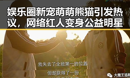 娱乐圈新宠萌萌熊猫引发热议，网络红人变身公益明星