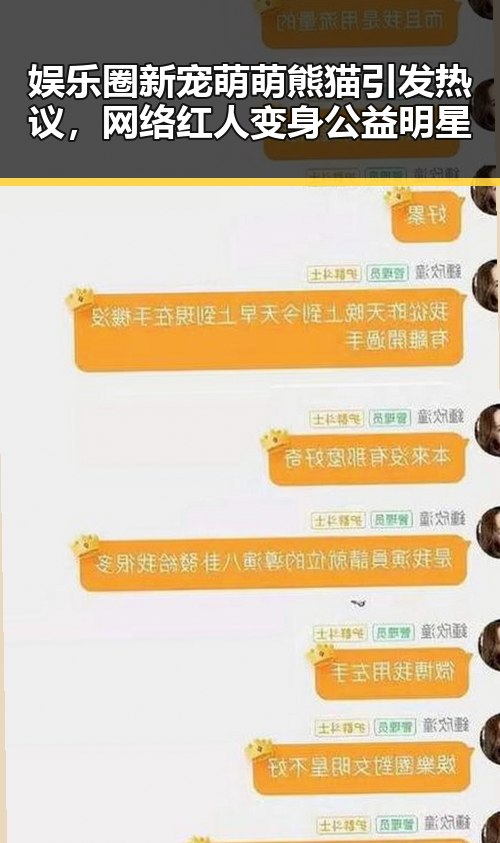 娱乐圈新宠萌萌熊猫引发热议,网络红人变身公益明星