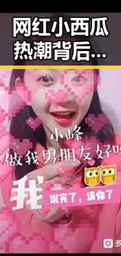 网红小西瓜热潮背后的市场动态与趋势分析
