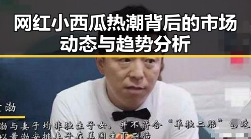 网红小西瓜热潮背后的市场动态与趋势分析